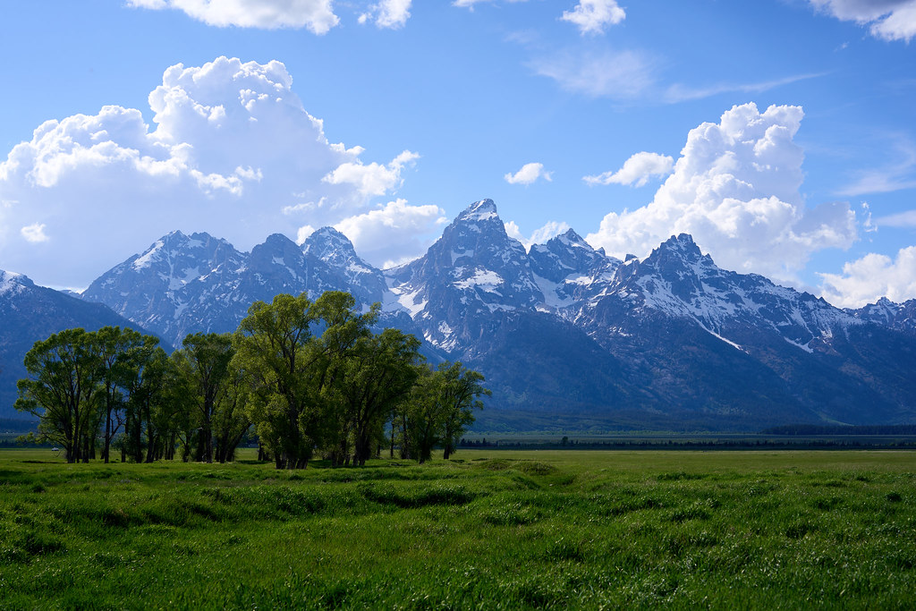 The Grand Teton
